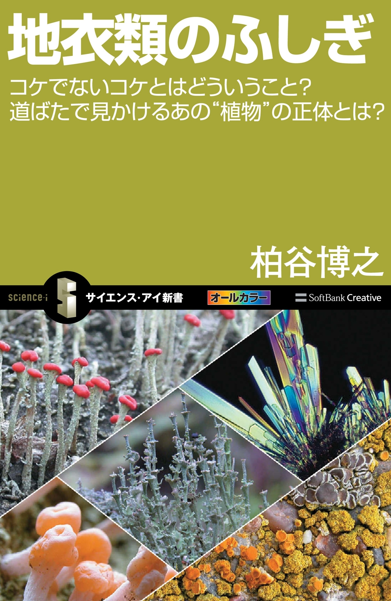 地衣類のふしぎ