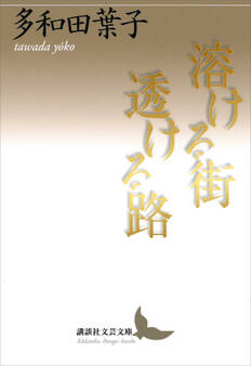 溶ける街 透ける路