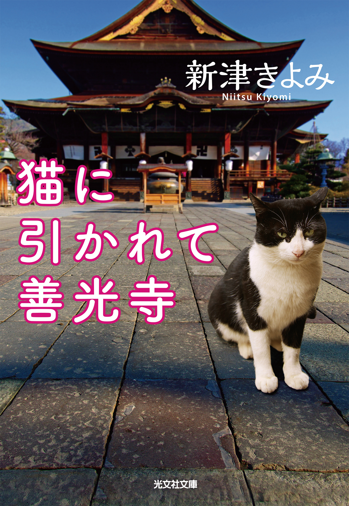 猫に引かれて善光寺