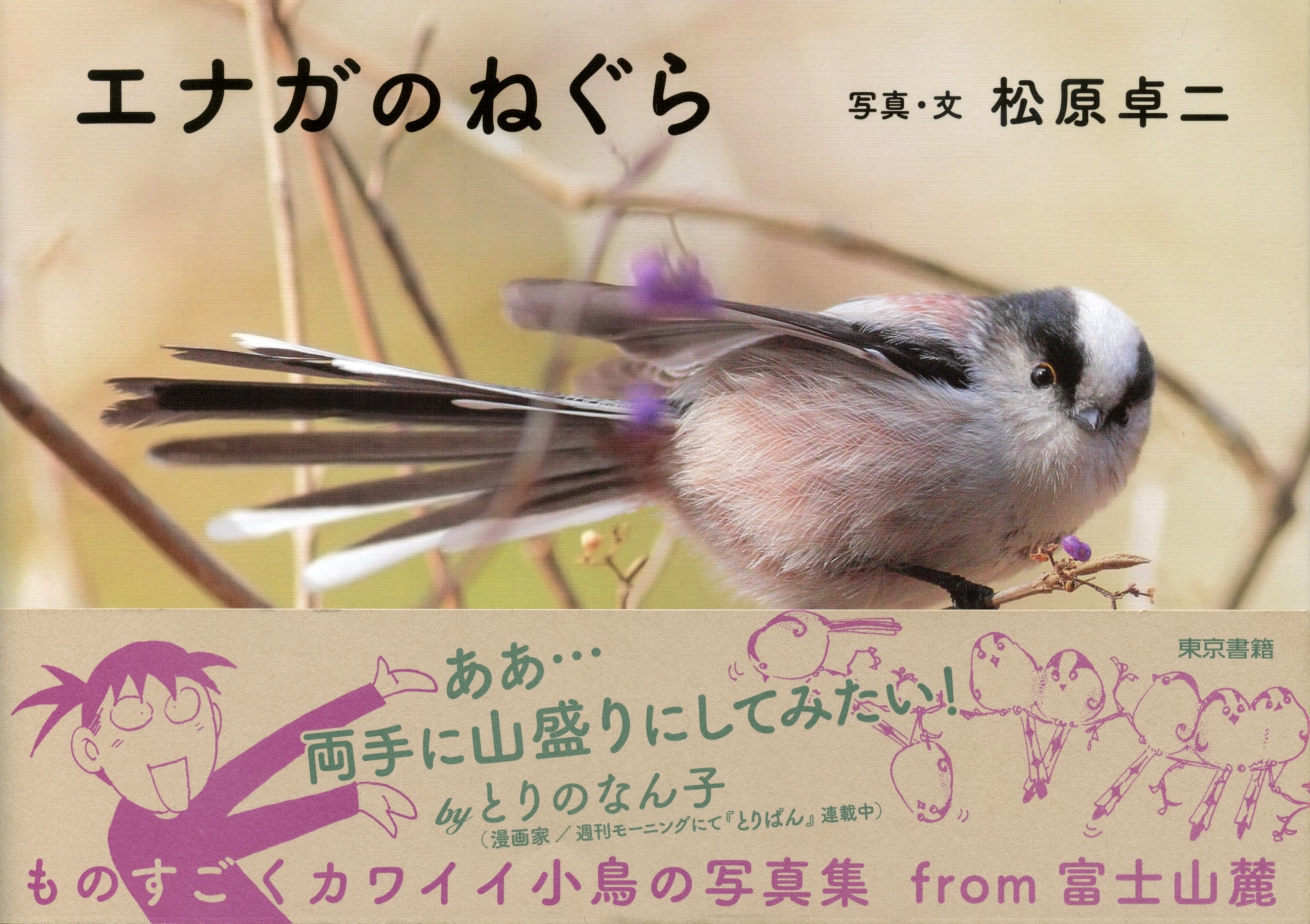 エナガのねぐら