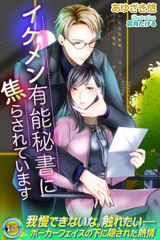 イケメン有能秘書に焦らされています