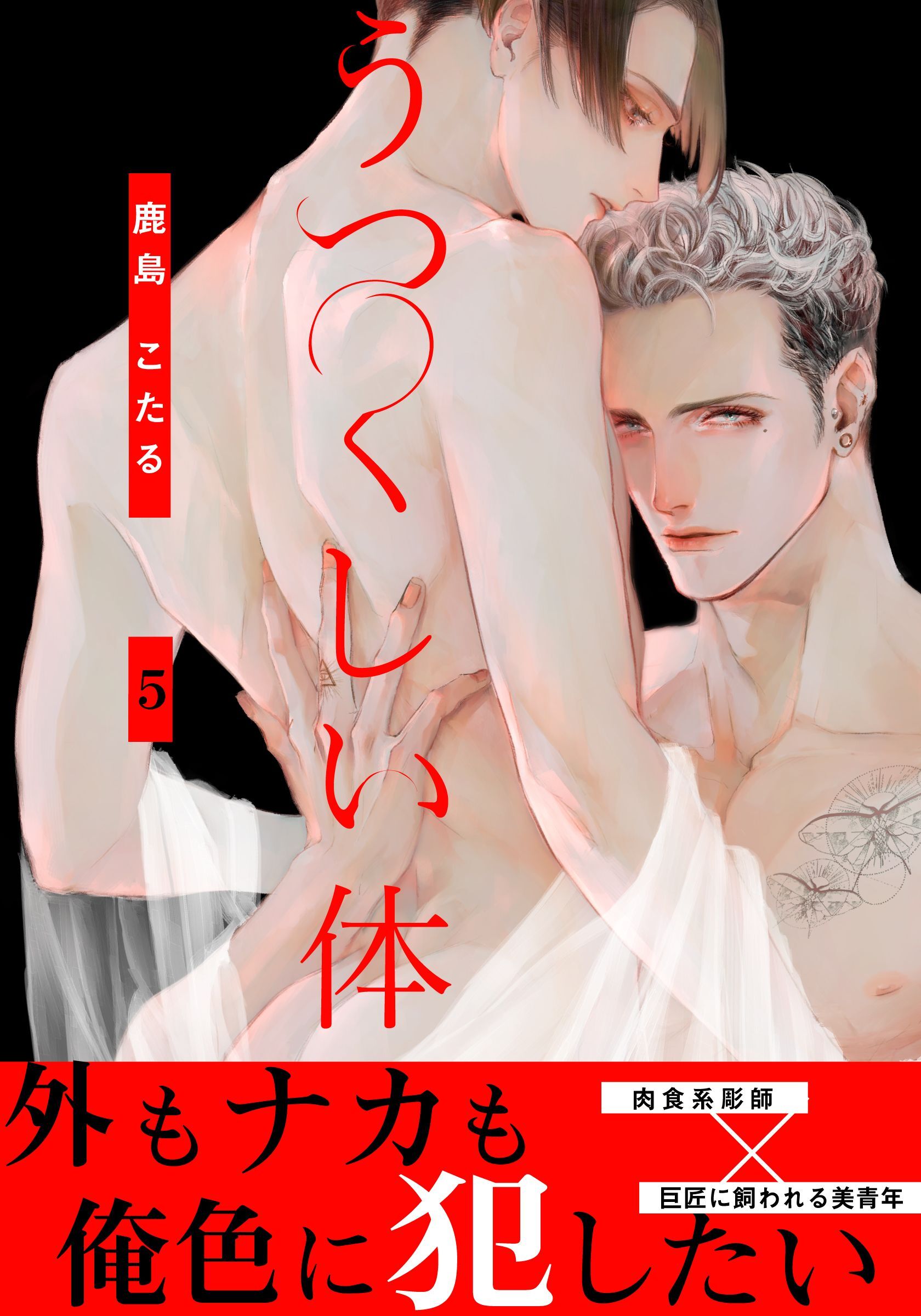 うつくしい体(5)