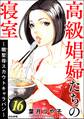 高級娼婦たちの寝室 ~闇聖母スカウトキャラバン~ (16)