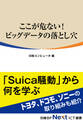 ここが危ない! ビッグデータの落とし穴(日経BP Next ICT選書)