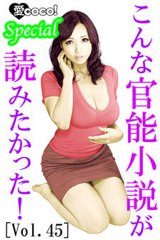 こんな官能小説が読みたかった!vol.45