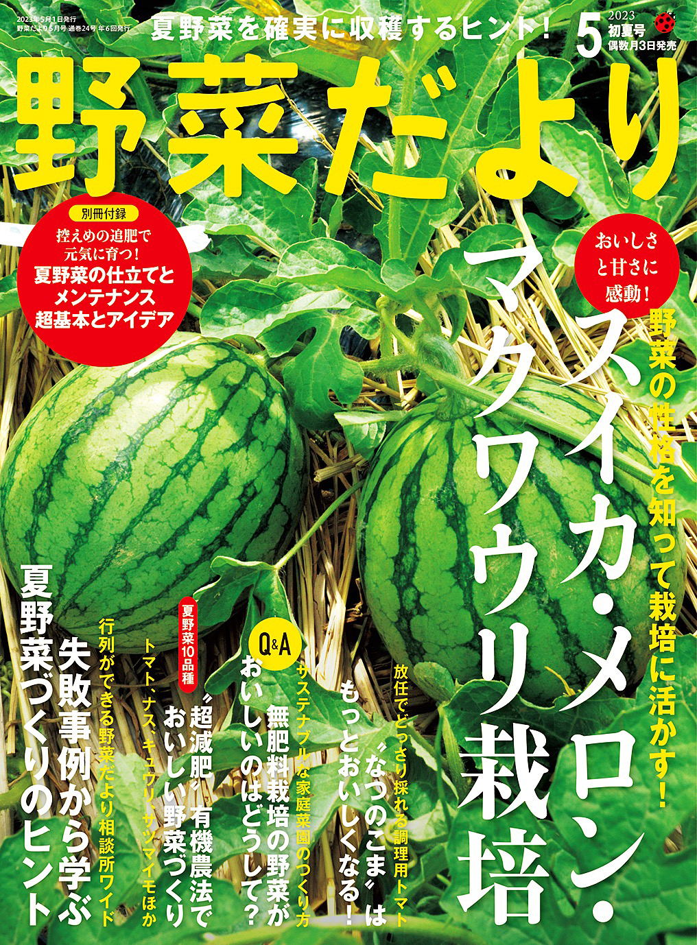 野菜だより2023年5月号