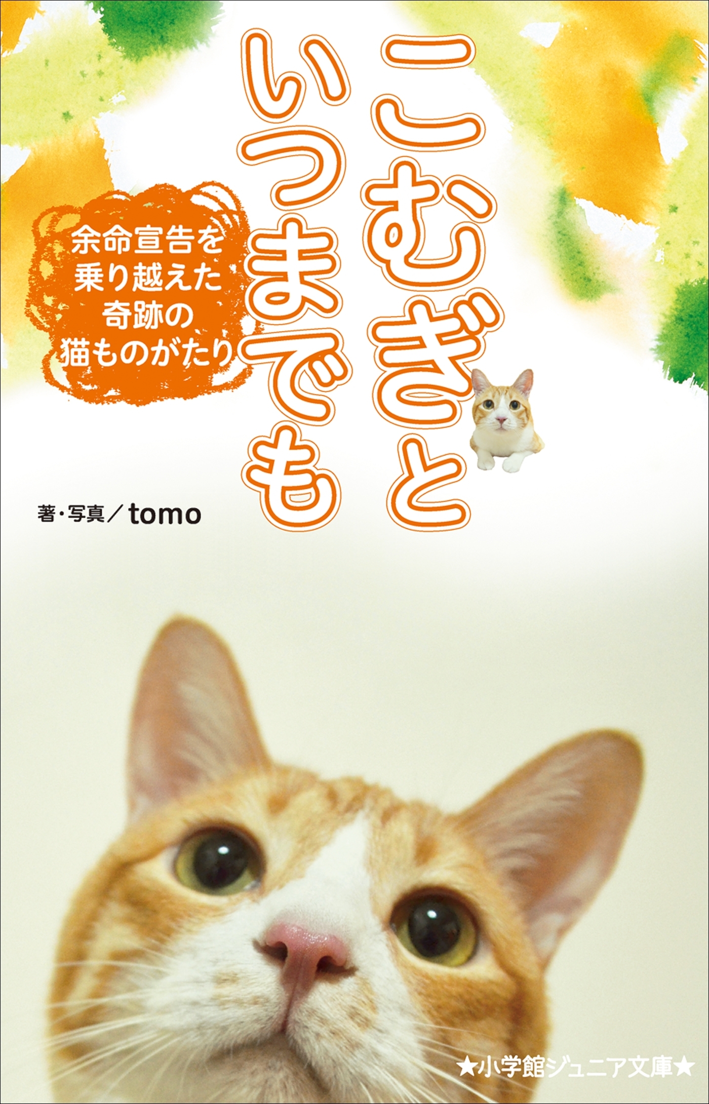 小学館ジュニア文庫　こむぎといつまでも　～余命宣告を乗り越えた奇跡の猫ものがたり～