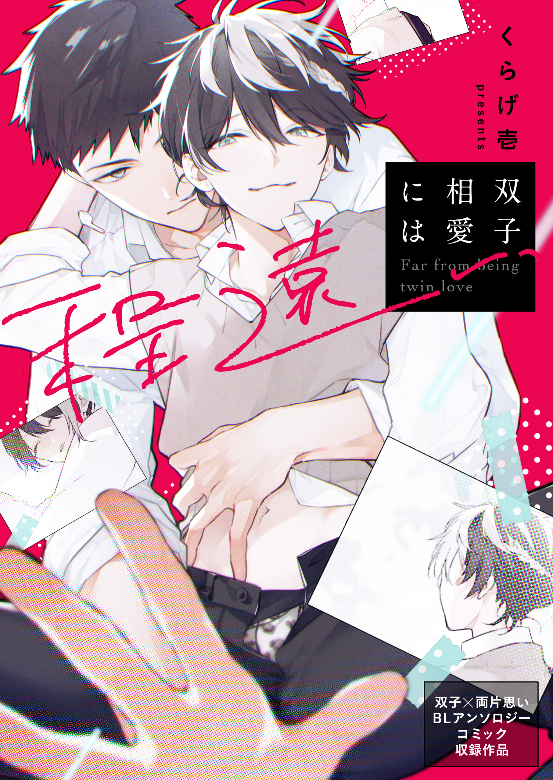 双子相愛には程遠い