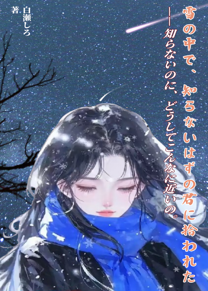 雪の中で、知らないはずの君に拾われた