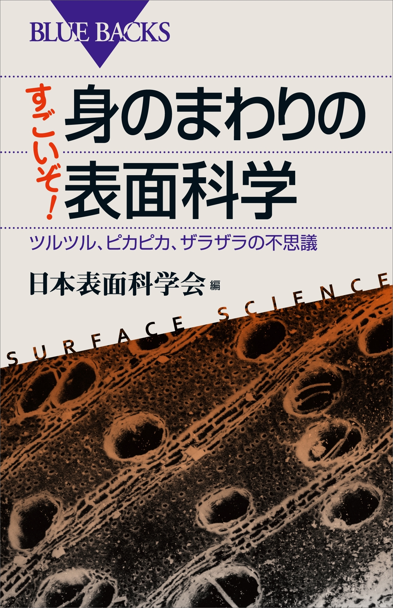すごいぞ！　身のまわりの表面科学　ツルツル、ピカピカ、ザラザラの不思議