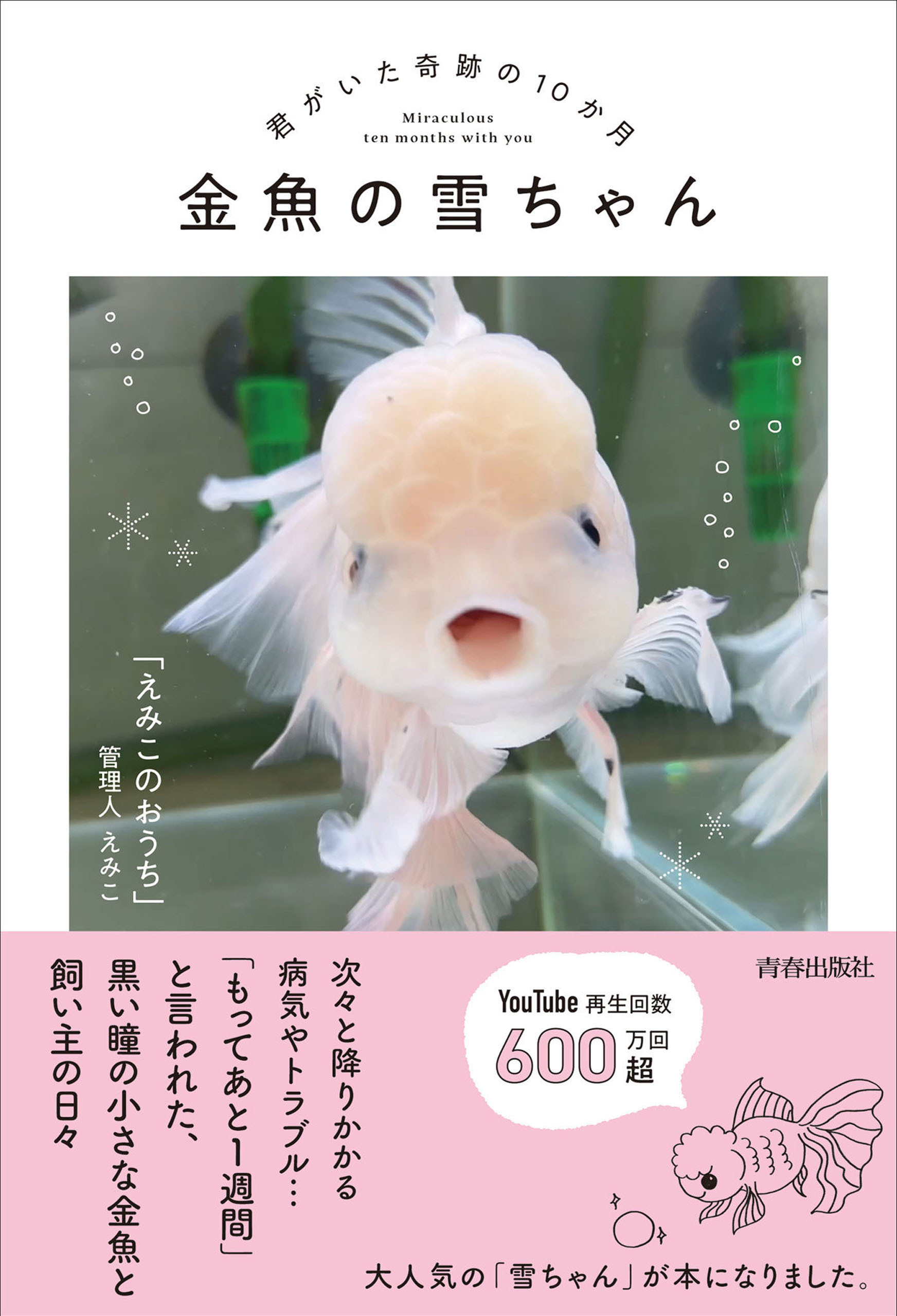金魚の雪ちゃん～君がいた奇跡の10か月～