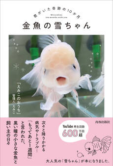 金魚の雪ちゃん~君がいた奇跡の10か月~
