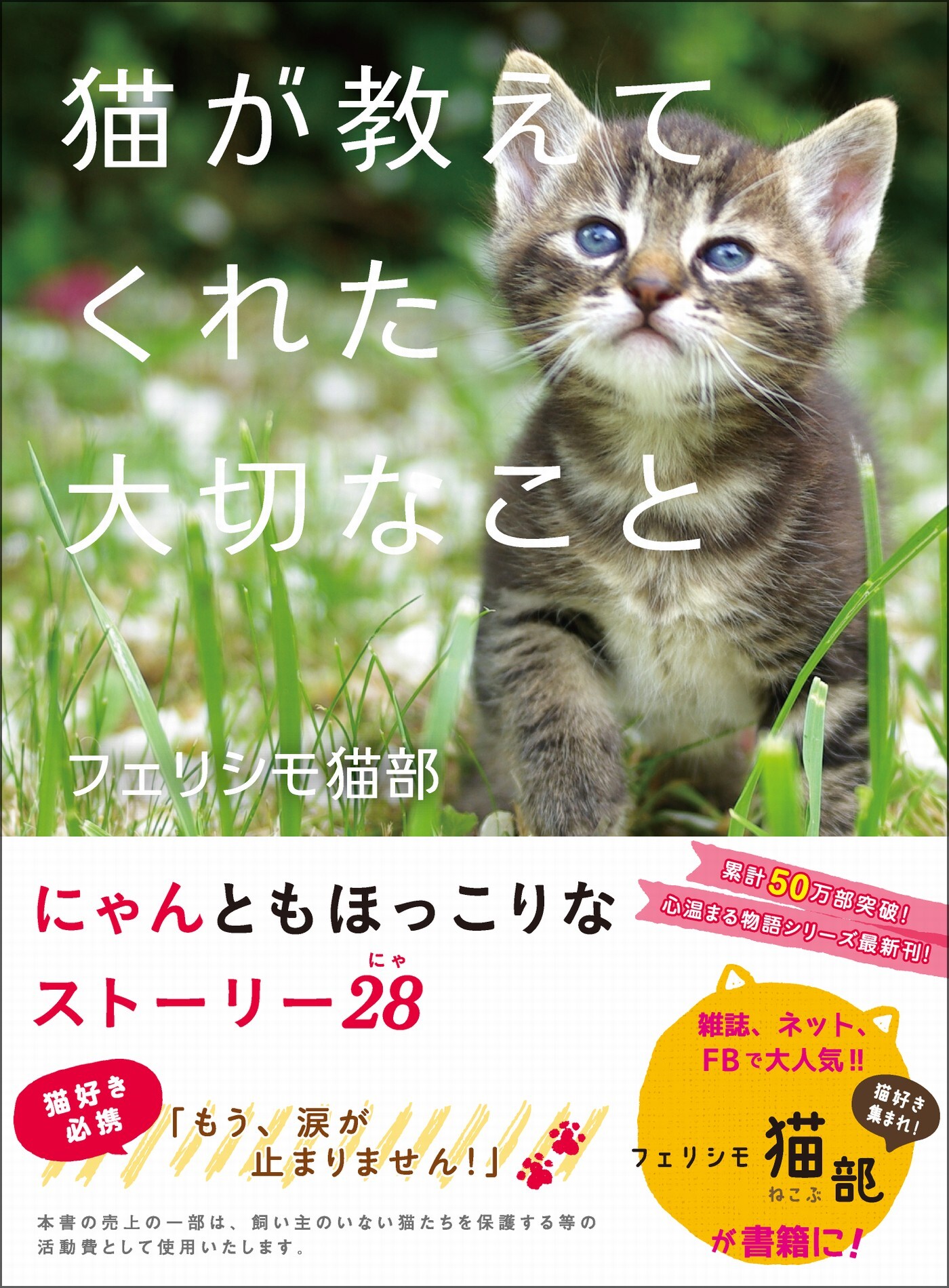 猫が教えてくれた大切なこと