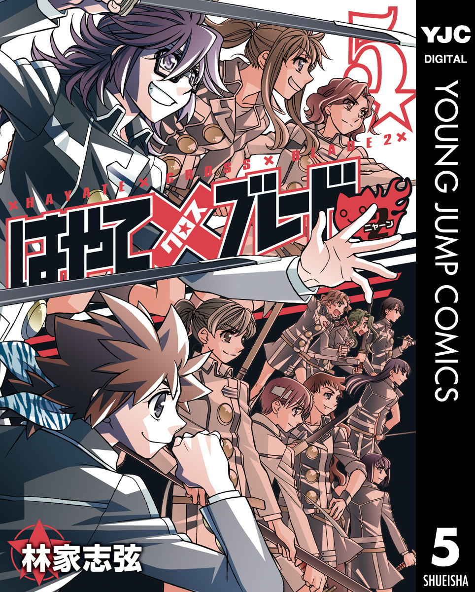 はやて×ブレード2 5