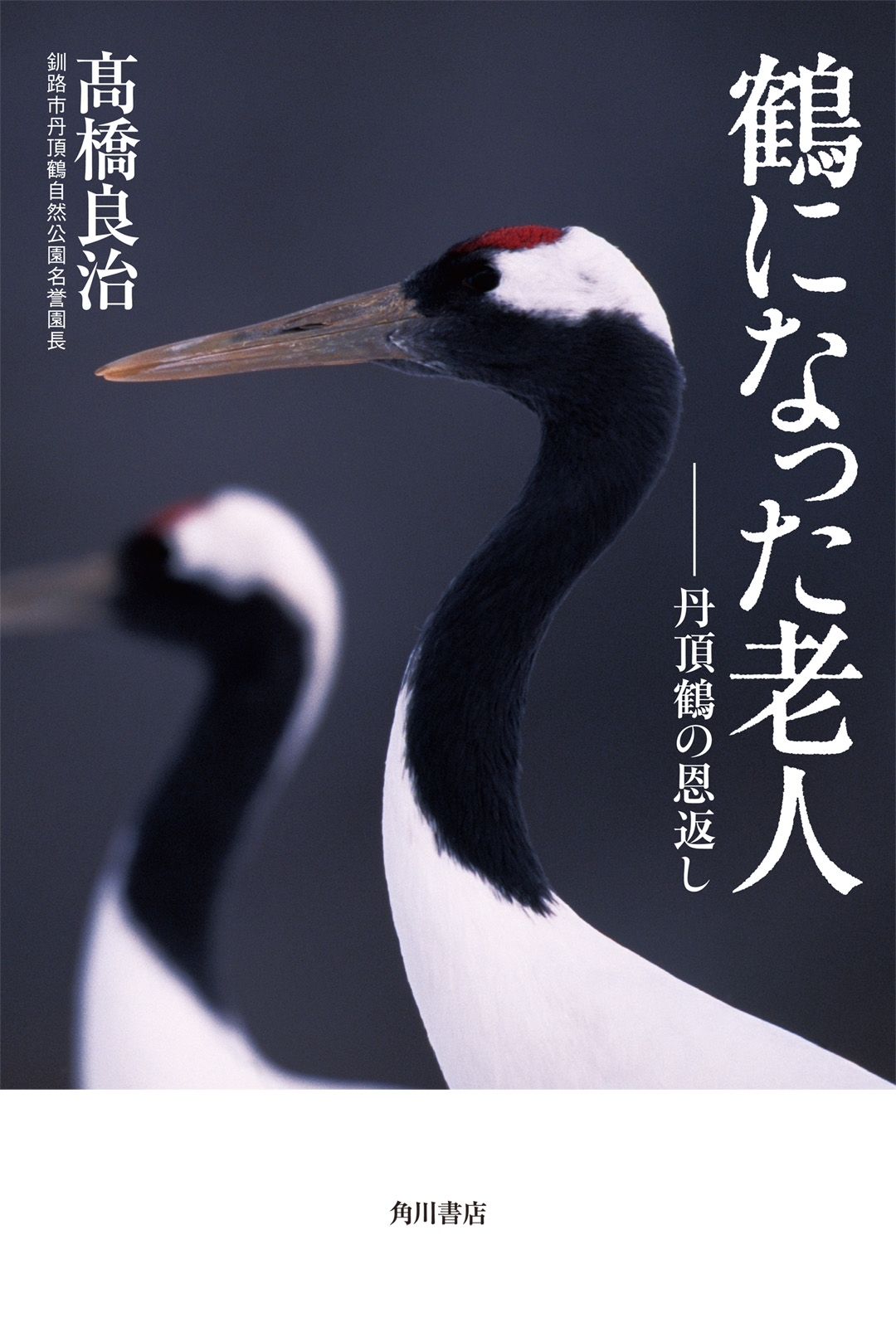 鶴になった老人　丹頂鶴の恩返し