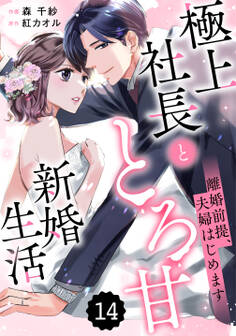 comic Berry's 離婚前提、夫婦はじめます~極上社長ととろ甘新婚生活~(分冊版)