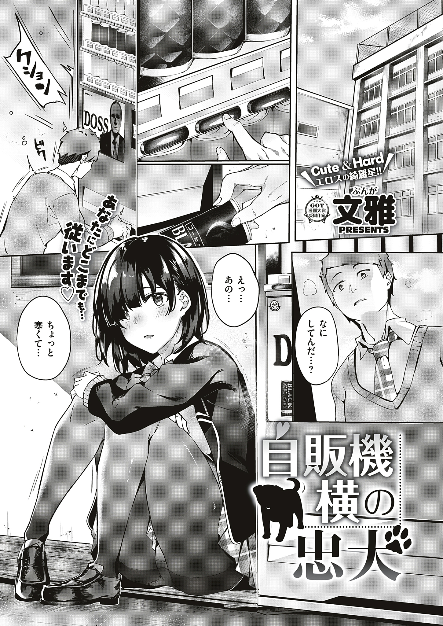 自販機横の忠犬