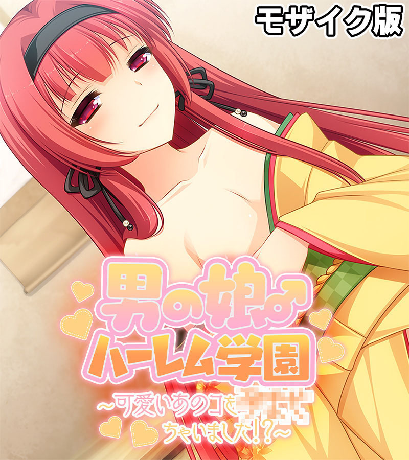 男の娘♂ハーレム学園 モザイク版