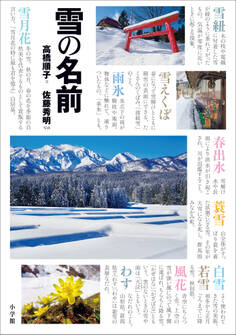 雪の名前 ~まほろば歳時記~
