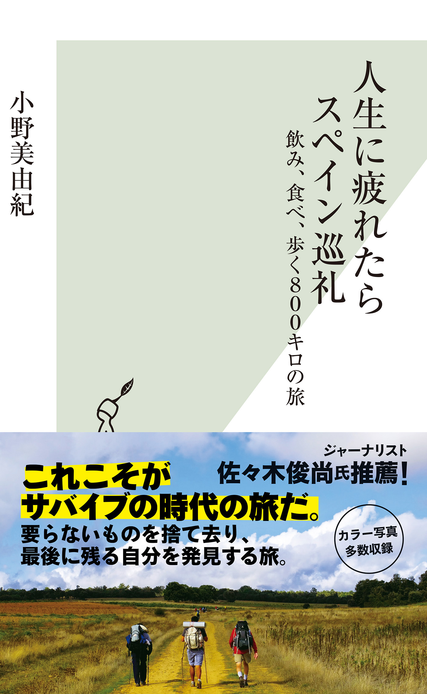 人生に疲れたらスペイン巡礼～飲み、食べ、歩く８００キロの旅～