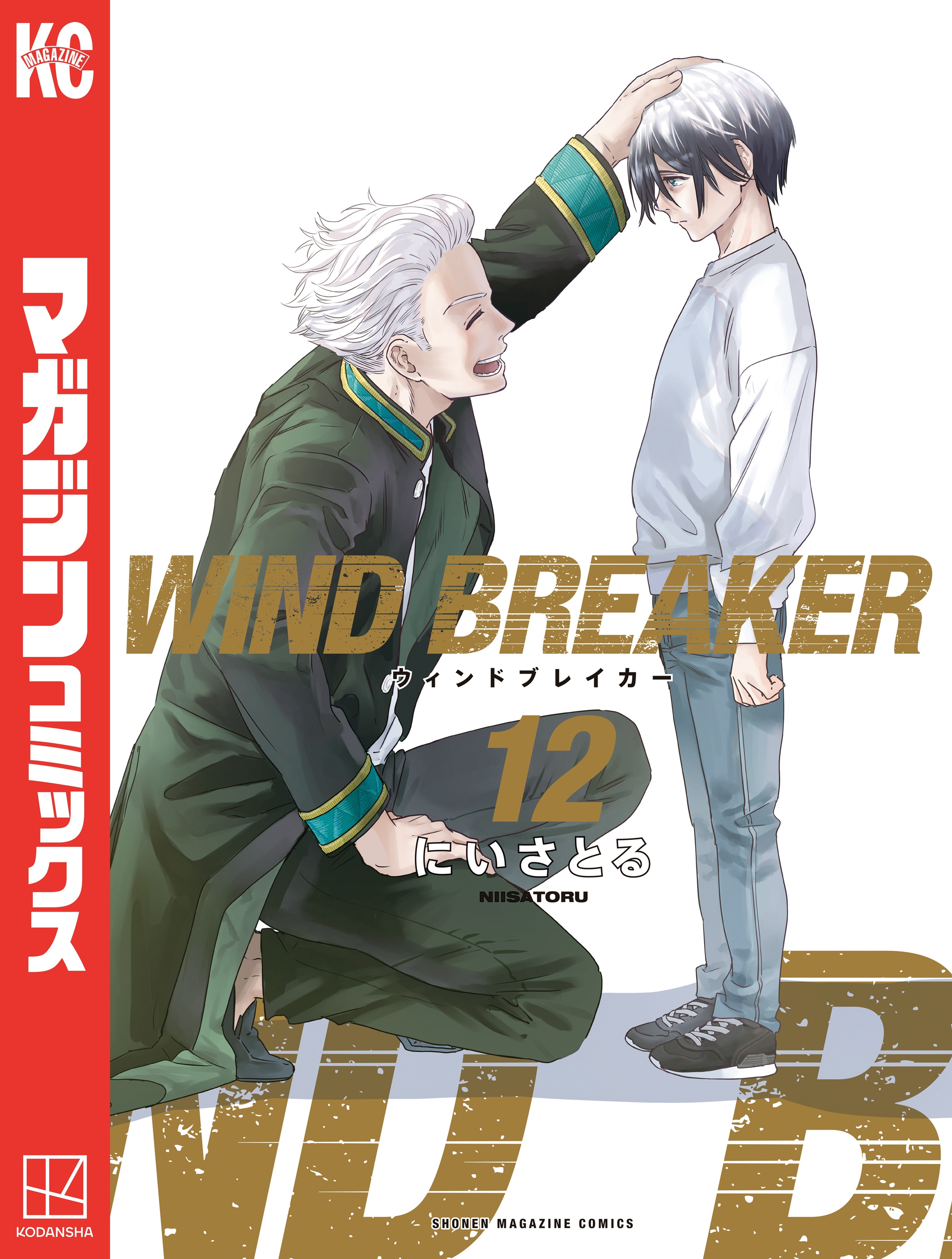 ＷＩＮＤ　ＢＲＥＡＫＥＲ（12）