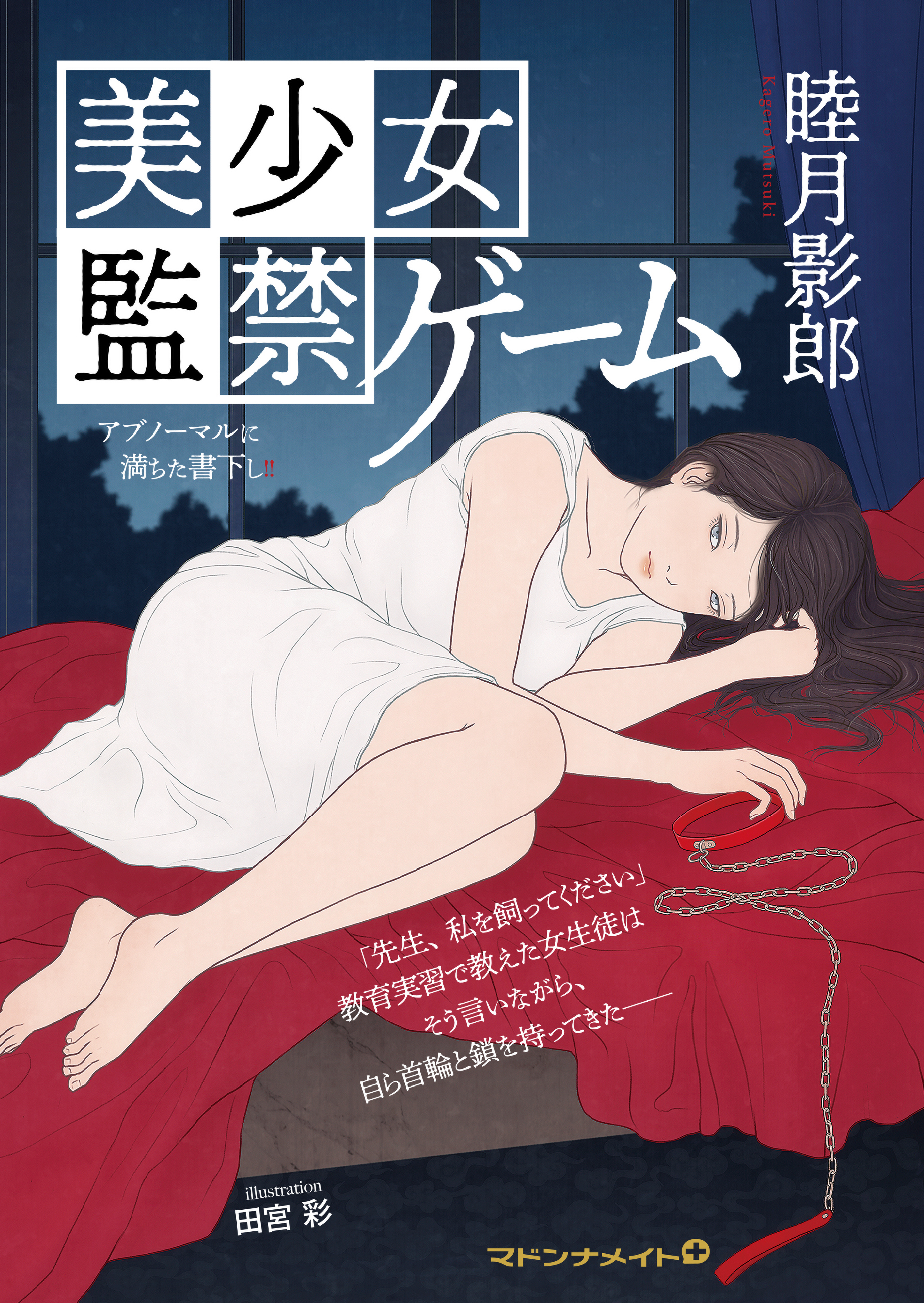 美少女　監禁ゲーム