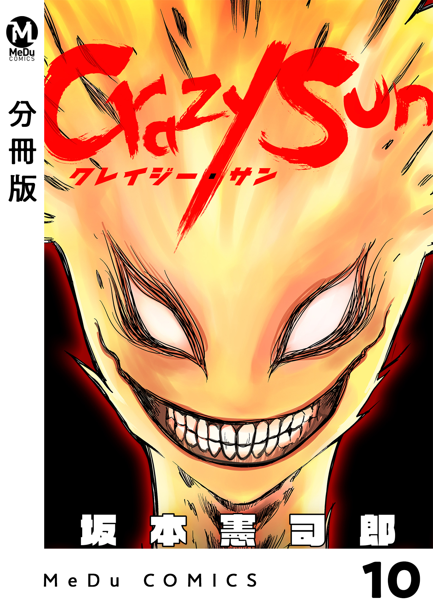 【分冊版】Crazy Sun 10