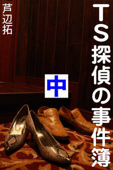 TS探偵の事件簿 中 アリバイは空の彼方に