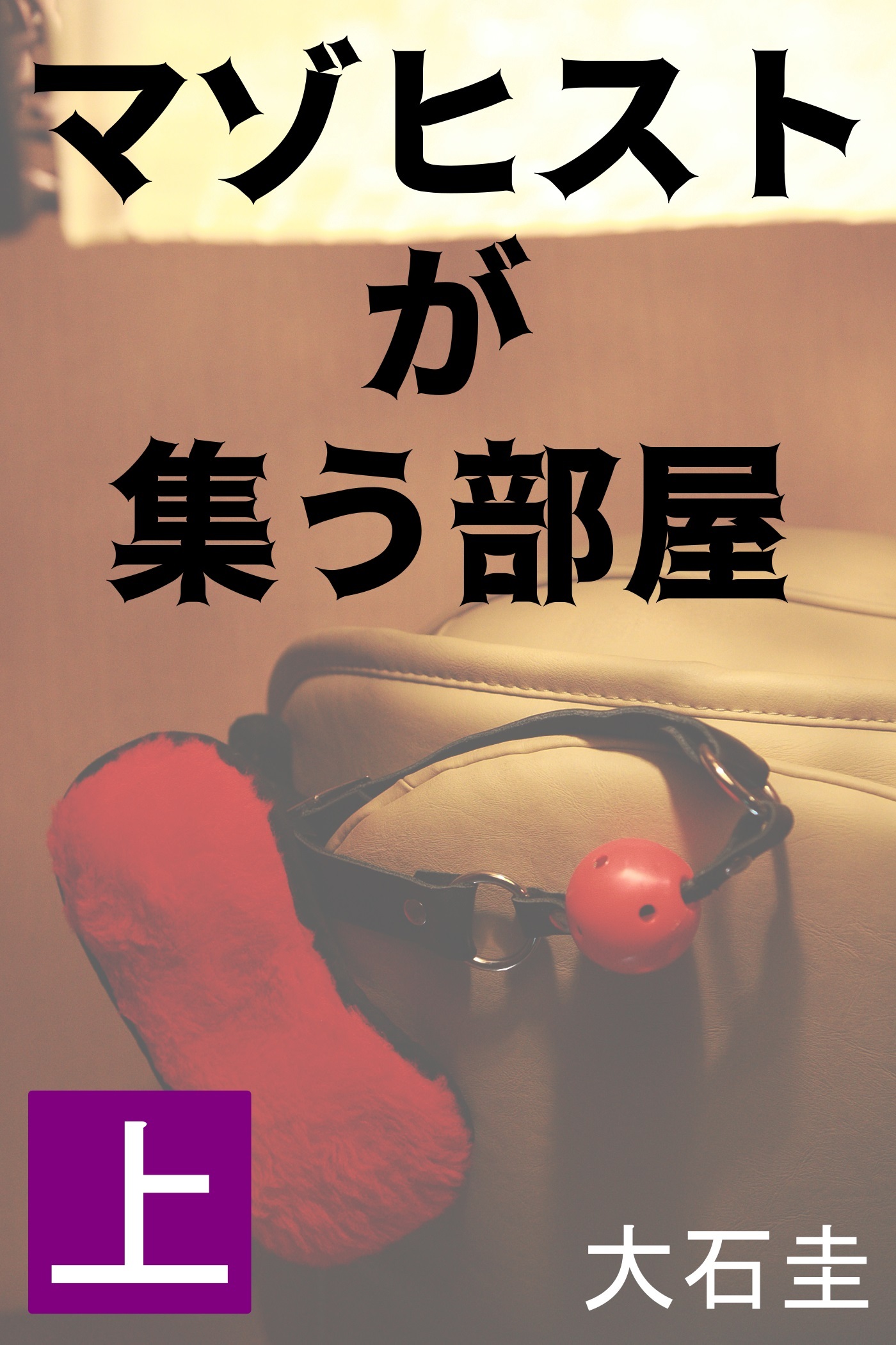 マゾヒストが集う部屋　上　専業主婦