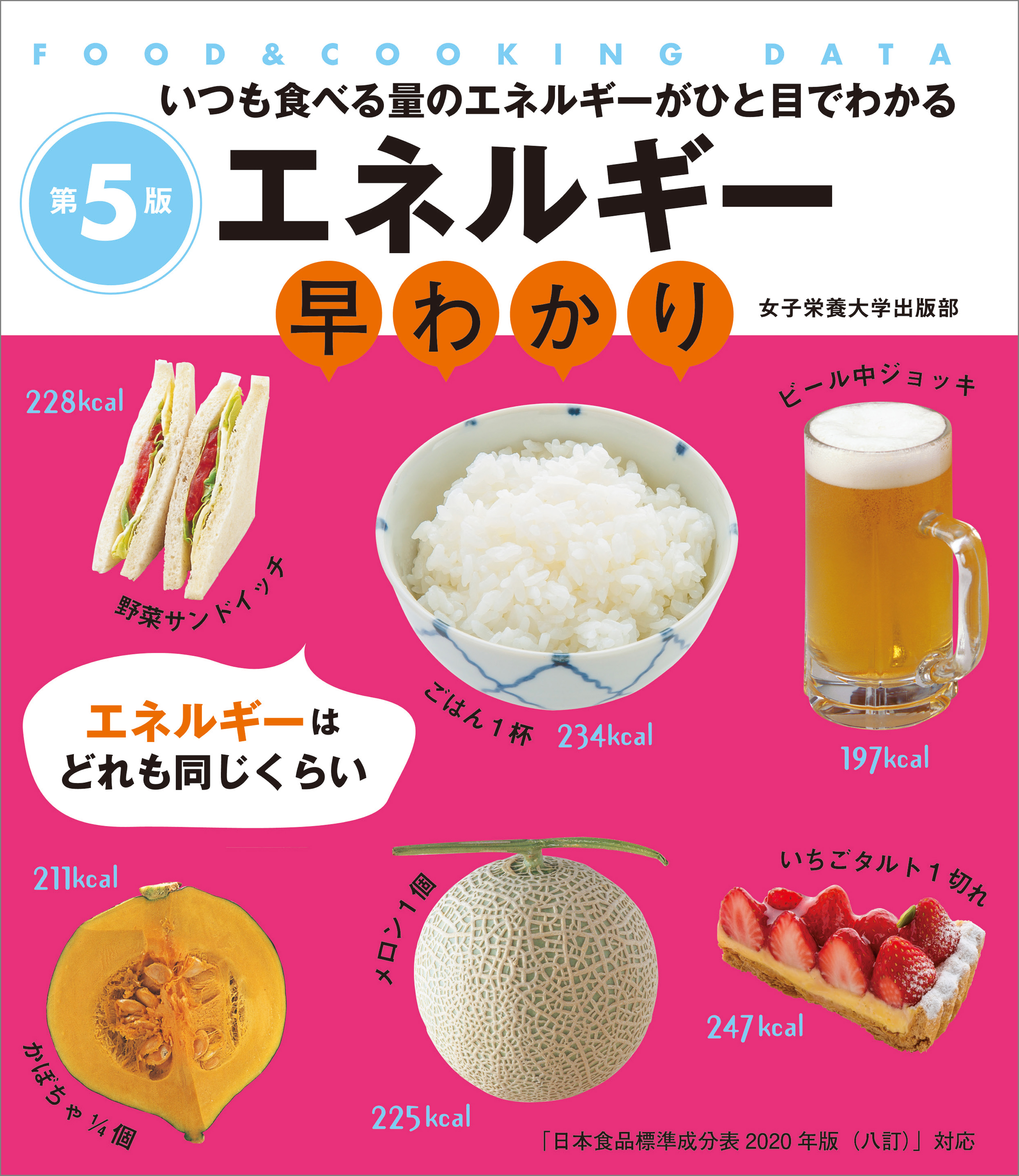 エネルギー早わかり 第5版