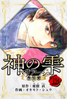 マリアージュ ~神の雫 最終章~ 愛蔵版 13