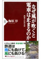 なぜ風が吹くと電車は止まるのか