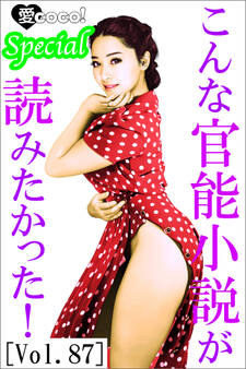 こんな官能小説が読みたかった!vol.87