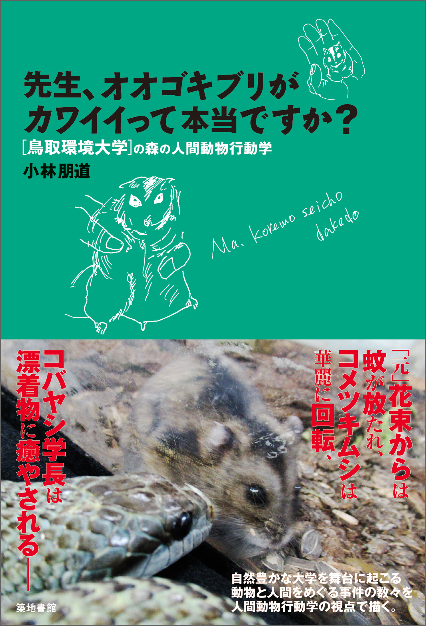 先生、オオゴキブリがカワイイって本当ですか？