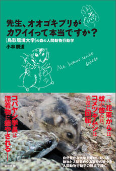 先生、オオゴキブリがカワイイって本当ですか?