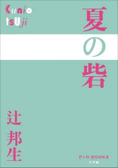 P+D BOOKS 夏の砦