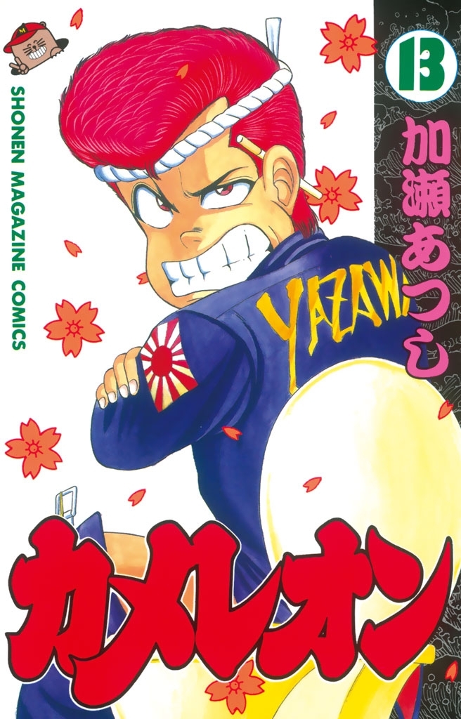 カメレオン（13）