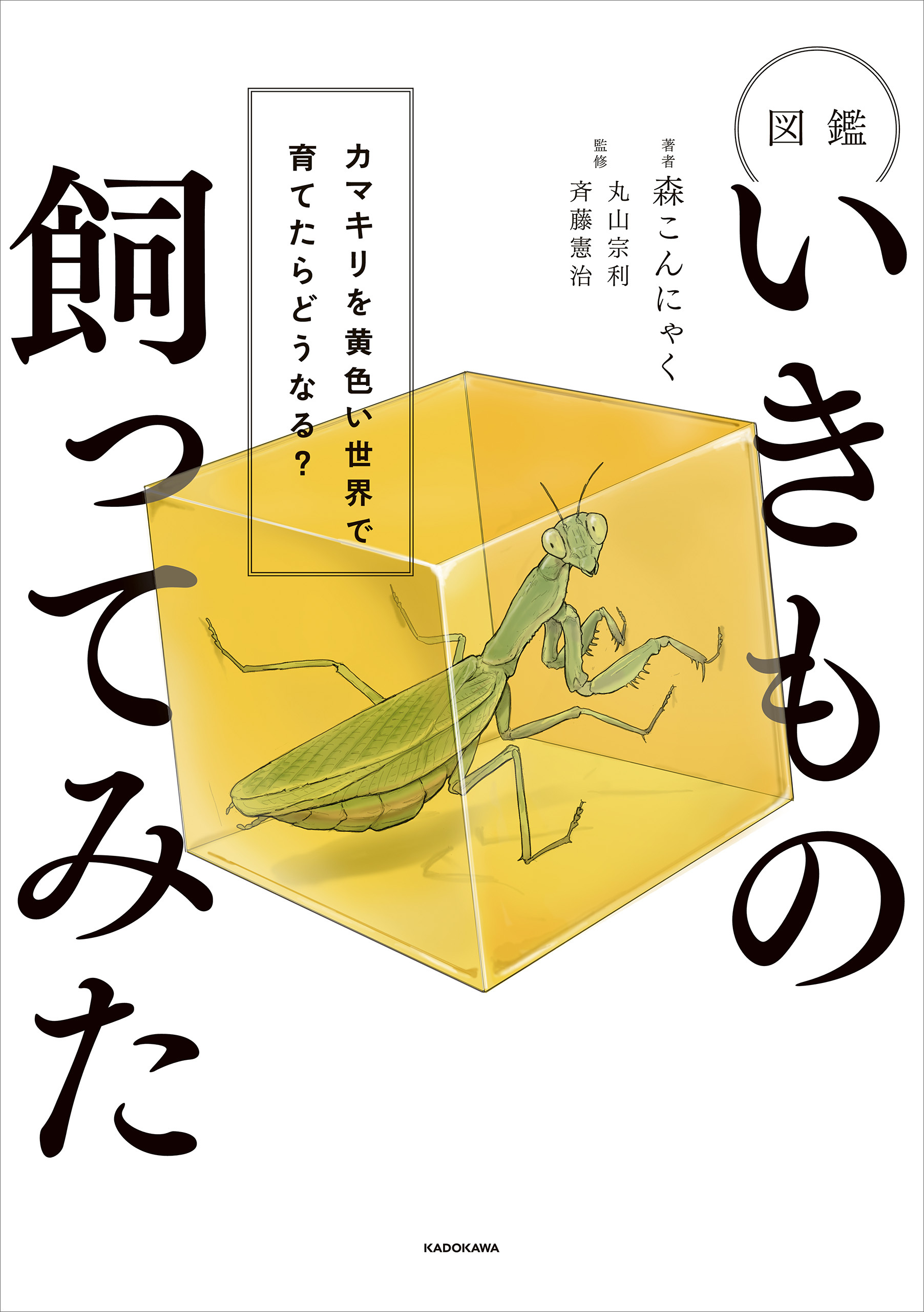 図鑑いきもの飼ってみた　カマキリを黄色い世界で育てたらどうなる？