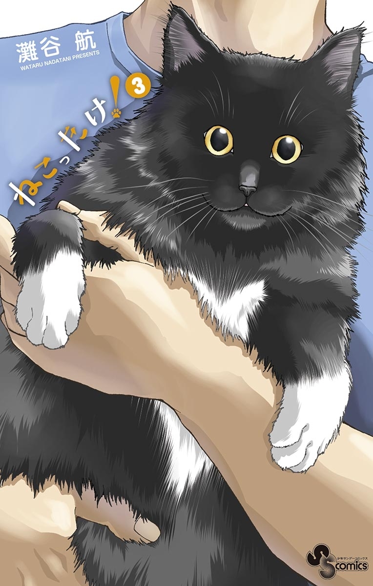 ねこったけ！ 3