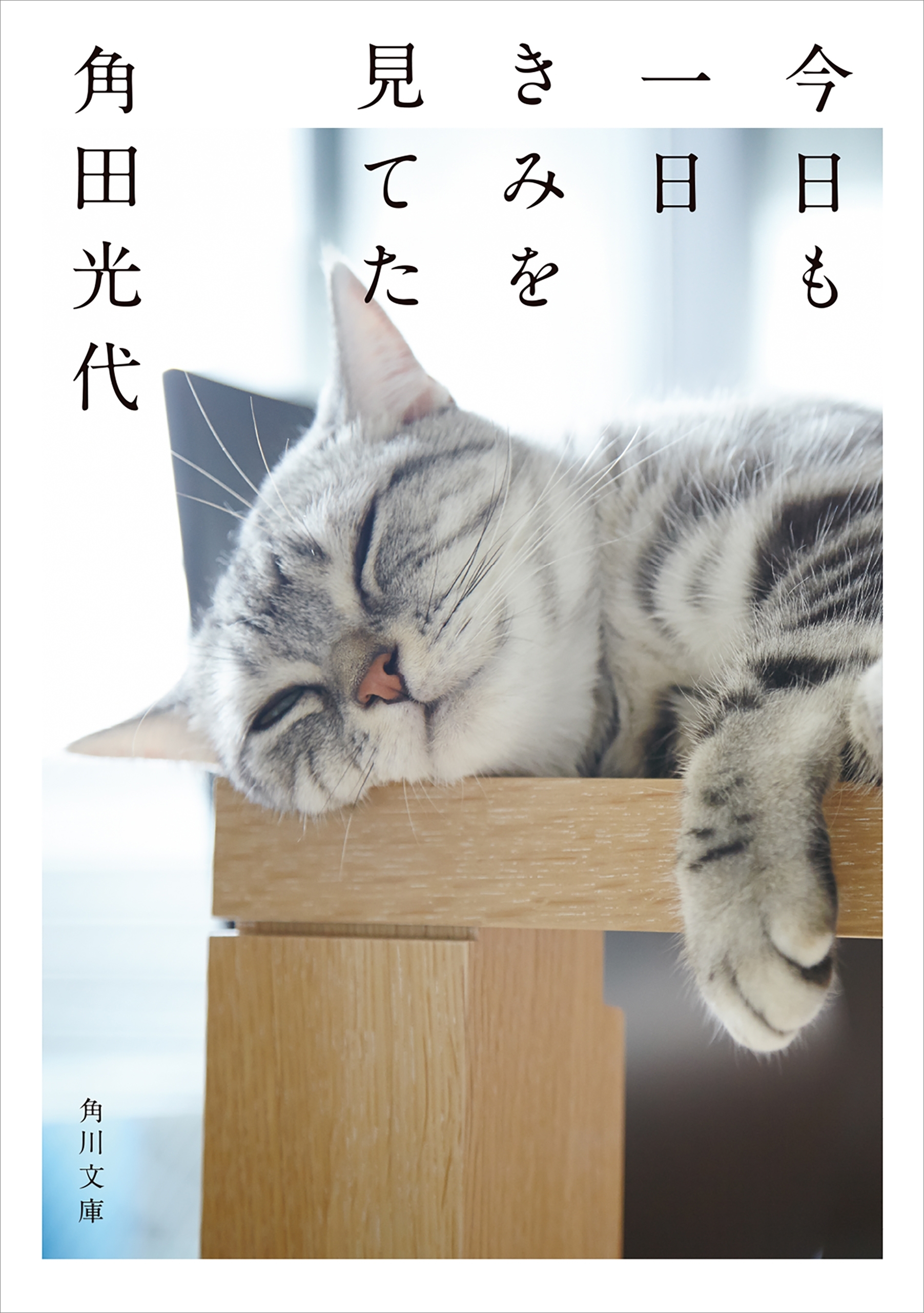 今日も一日きみを見てた