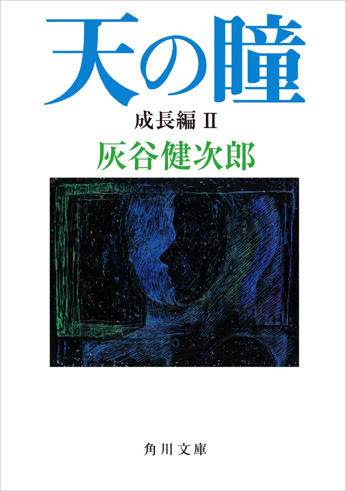 天の瞳　成長編ＩＩ