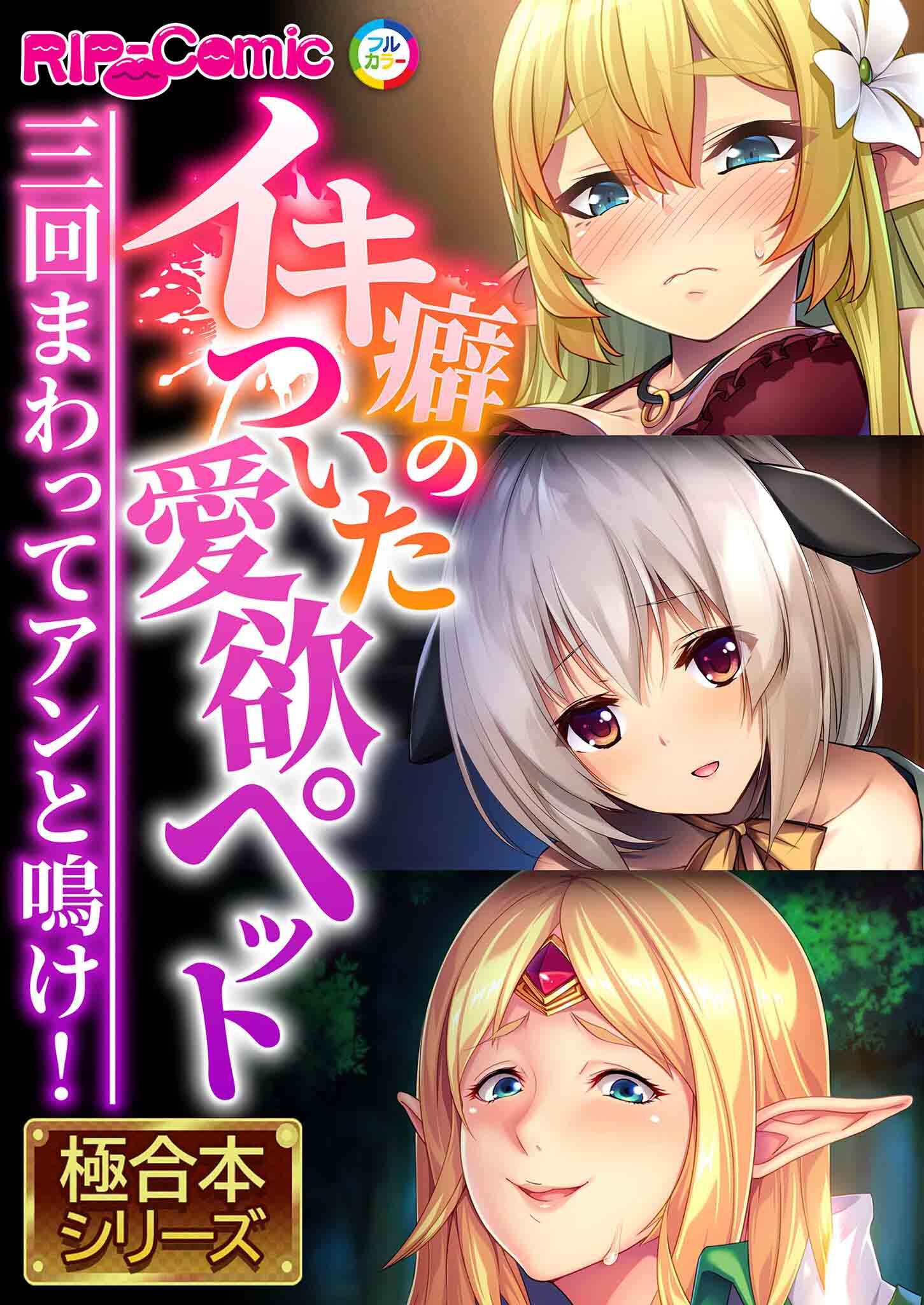 イキ癖のついた愛欲ペット ～三回まわってアンと鳴け！～【極合本シリーズ】