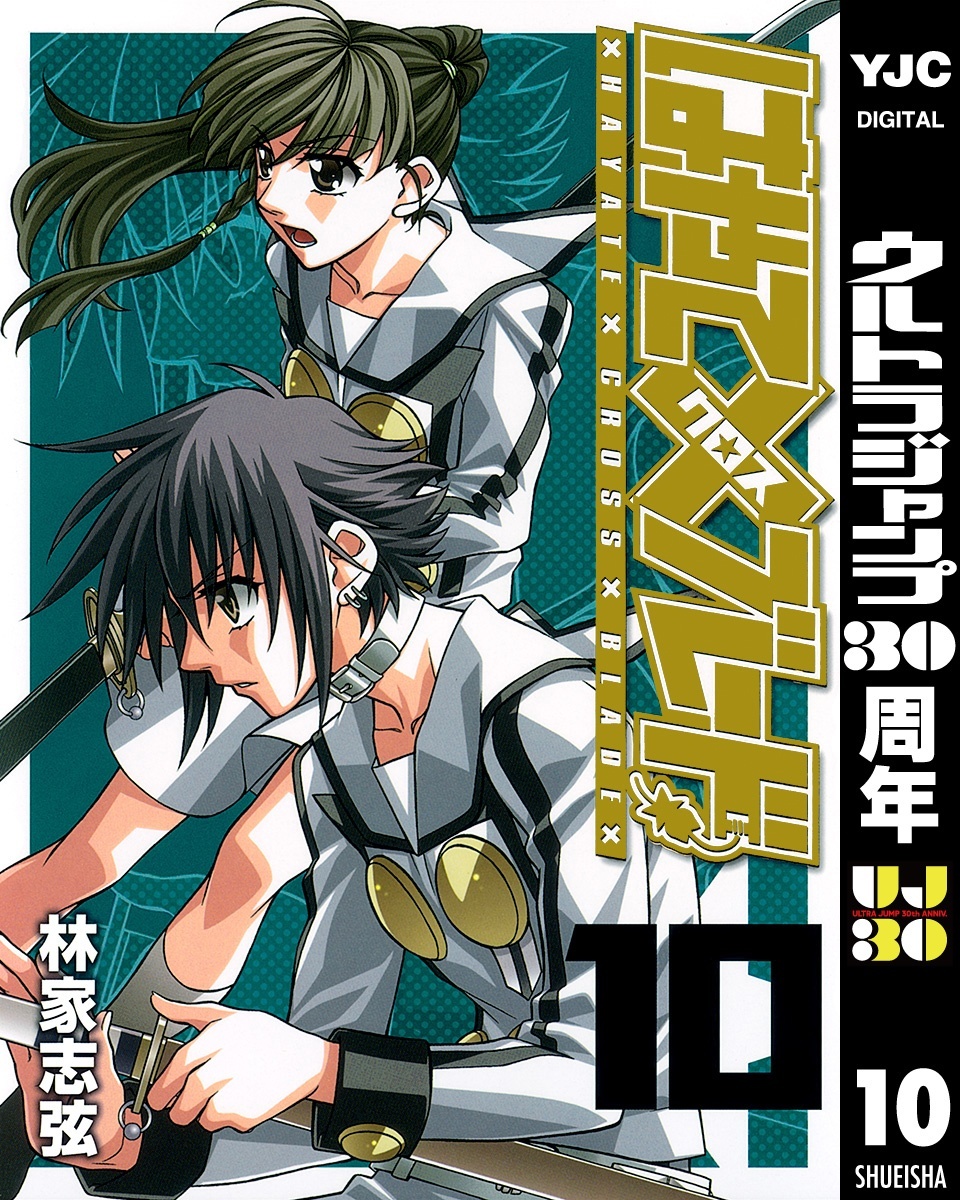 はやて×ブレード 10