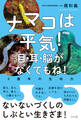 ナマコは平気! 目・耳・脳がなくてもね!