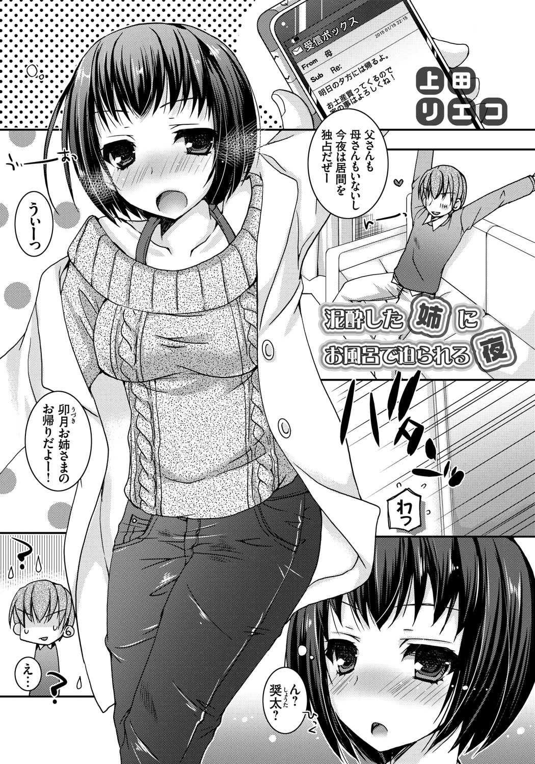 泥酔した姉にお風呂で迫られる夜