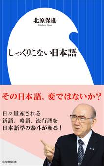 しっくりこない日本語(小学館新書)