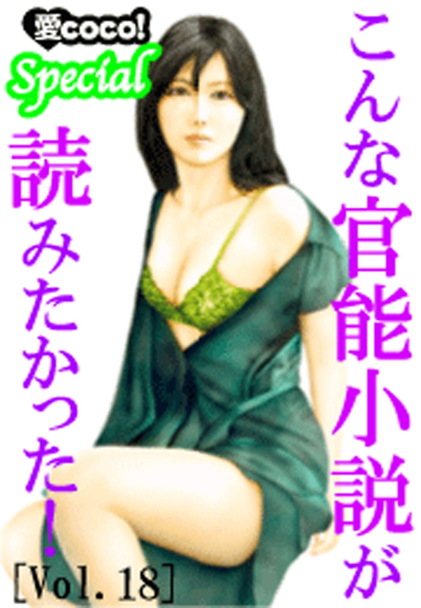 こんな官能小説が読みたかった！vol.18