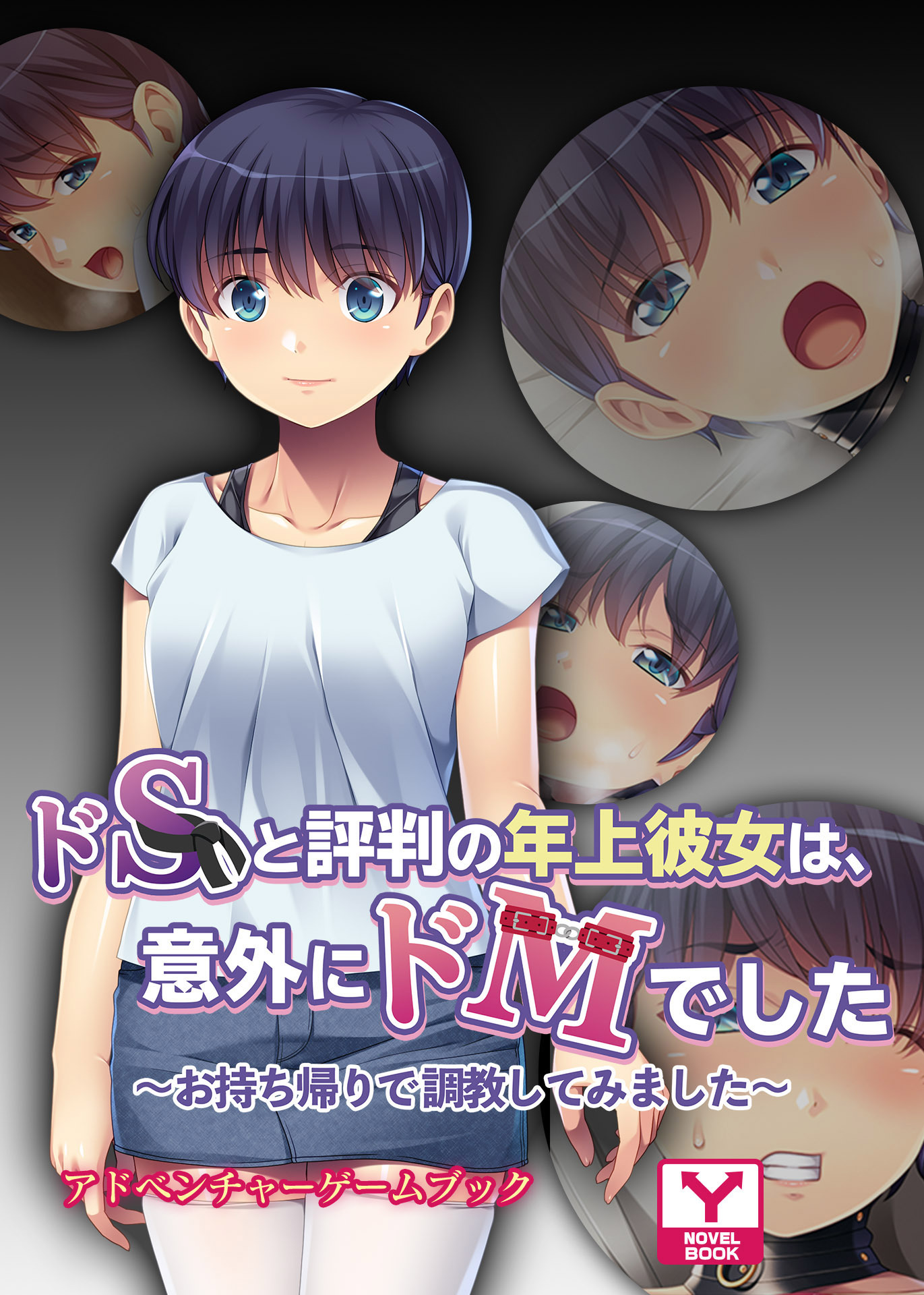 ドＳと評判の年上彼女は、意外にドＭでした ～お持ち帰りで調教してみました～　アドベンチャーゲームブック