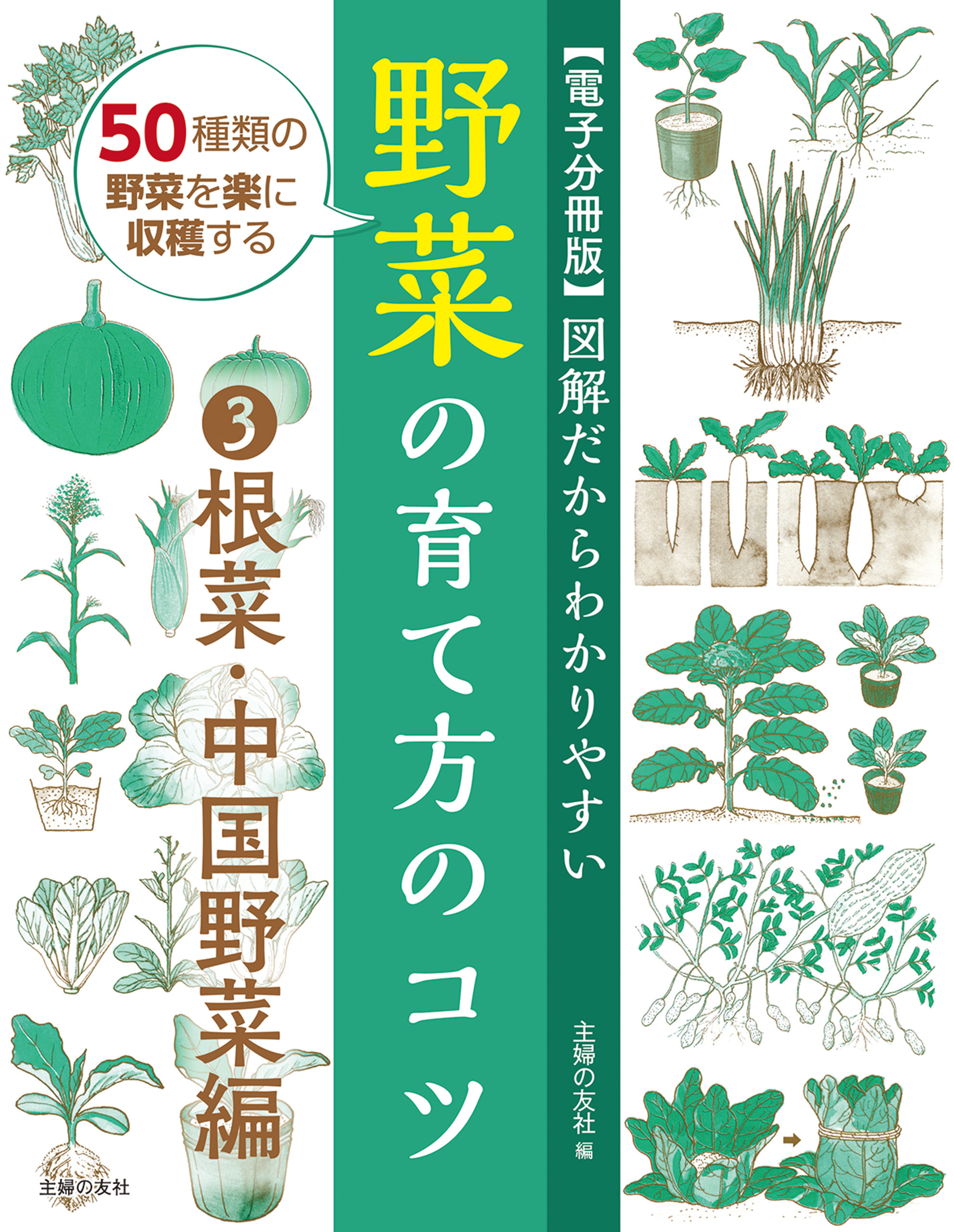 【電子分冊版】図解だからわかりやすい　野菜の育て方のコツ③根菜・中国野菜編