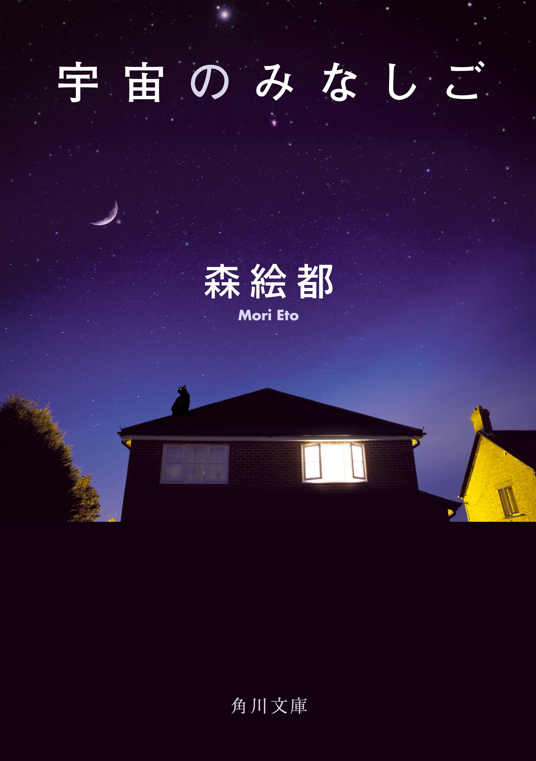 宇宙のみなしご